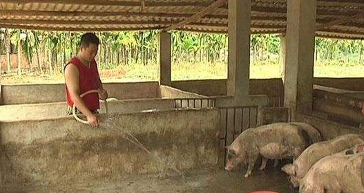 <b>西安市场猪肉价格持续上涨，多雨天气导致成本增加</b>