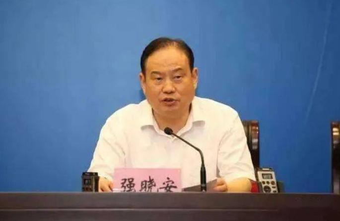 <b>西安市人民政府原副市长强小安被开除党籍、开除公职</b>