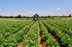 <b>陕西省又获批4个国家级特色农产品优势区</b>