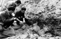 <b>陕西去年发掘3956座古墓葬 考古勘探约1180万平方米</b>