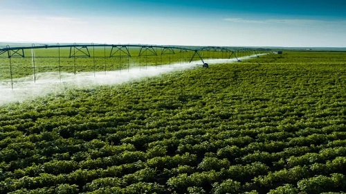 <b>今年榆林计划粮食播种1092万亩</b>