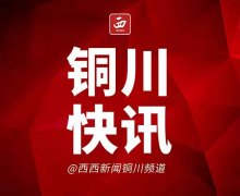 <b>48小时核酸报告、健康码、返铜出行证明 铜川新区设置三条“返区入区”通</b>