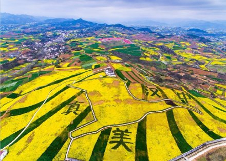 <b>等你来玩！汉中油菜花观花黄金时段将于3月中旬开始</b>