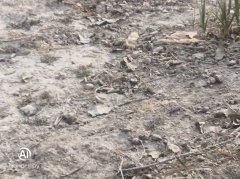 热线实录 | 蒲城县永丰村村民：石灰厂严重污染村子环境多年 多次申诉无果