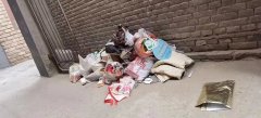 <b>热线实录 | 榆林市榆阳区韦则巷：没有垃圾箱 “无处安放”的垃圾堆一地</b>