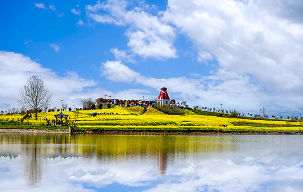 <b>从花海“穿越”动漫村 汉台邀你看油菜花</b>