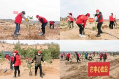 <b>榆林市中心血站2022年开展义务植树活动</b>