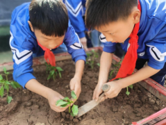 <b>长安区黄良街道中心学校劳动教育：学校用心学生开心家长放心</b>