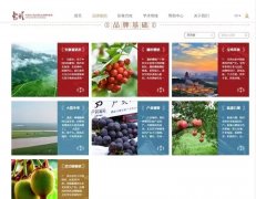 <b>陕茶唯一！“安康富硒茶”入驻“中国农产品地理标志品牌形象馆”</b>