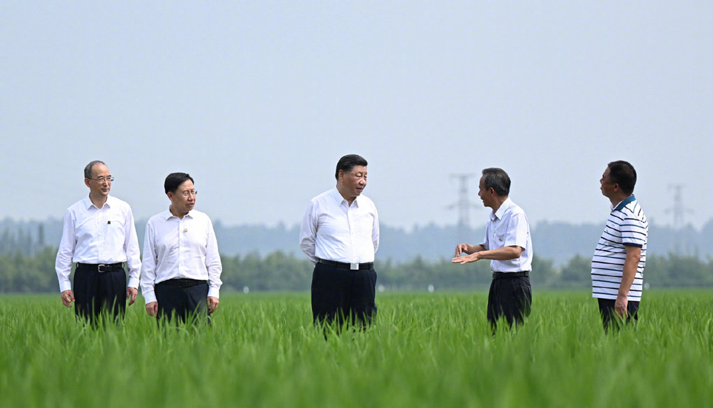 习近平在四川眉山市考察调研