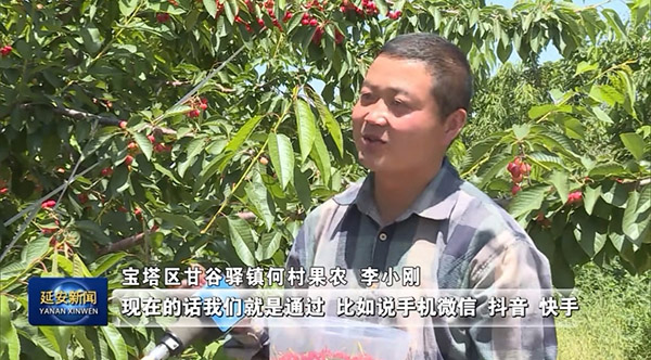 <b>延安果农李小刚：做新型职业农民 过幸福小康生活</b>