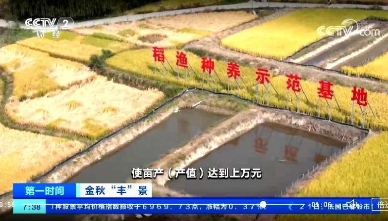 <b>长安区 “硬核”作风凝聚西部强区建设强大合力</b>