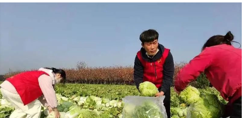 <b>咸阳“志愿红”助农解忧 认购4吨蔬菜赠送环卫工</b>