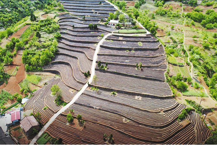 <b>建设山阳西部门户区 打造商洛全域旅游新高地</b>