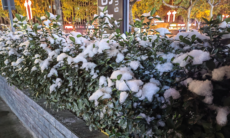 <b>12月24日起大范围雨雪天气“犯”陕！陕南局地降温4-6℃</b>