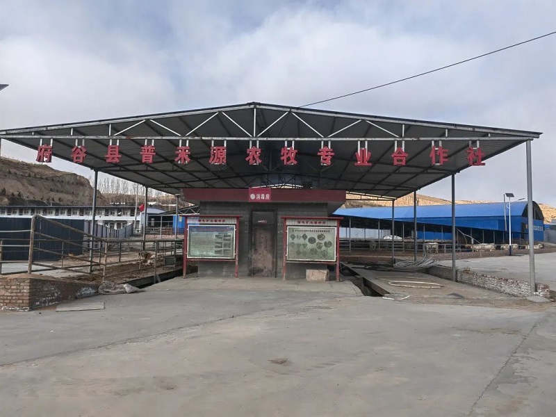 <b>府谷县：特色产业奏响乡村振兴“奋进曲”</b>