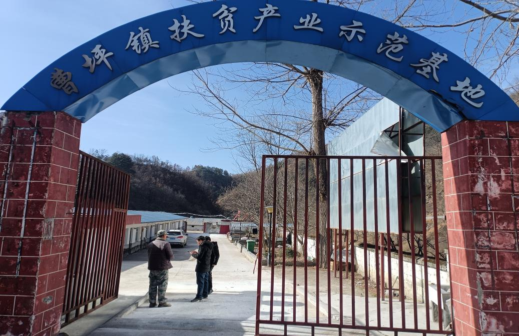 <b>商洛市柞水县畜牧中心开展畜牧业安全生产检查工作</b>