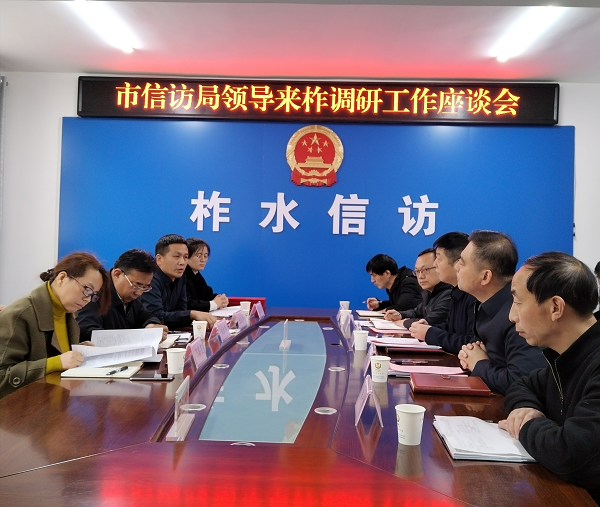 <b>商洛市政府副秘书长刘彦锋在柞水调研信访工作</b>