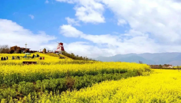 <b>仲春二月，春回大地 遇见油菜花海 邂逅美丽汉台！</b>