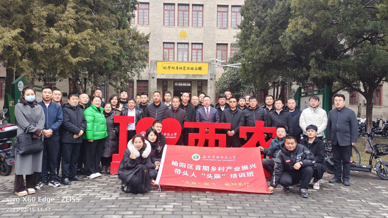 <b>榆阳区：振兴乡村“雁展翅”</b>