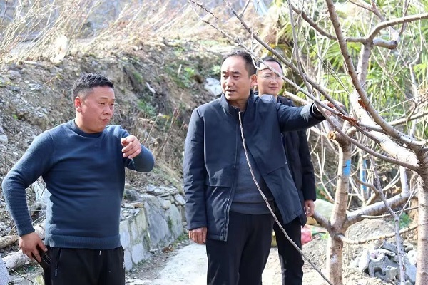 <b>安康市镇坪县县镇联动召开竹叶村乡村振兴重点工作推进会</b>