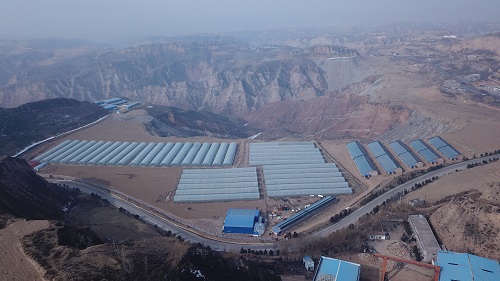<b>府谷县高粱村：黄土地里的“温室经济”</b>