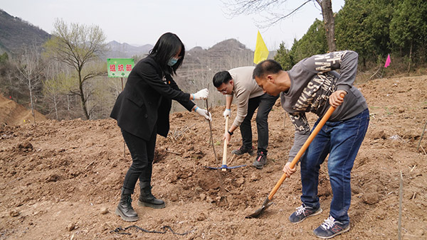 青山为媒 绘就生态画卷 渭滨区开展第45个植树节活动