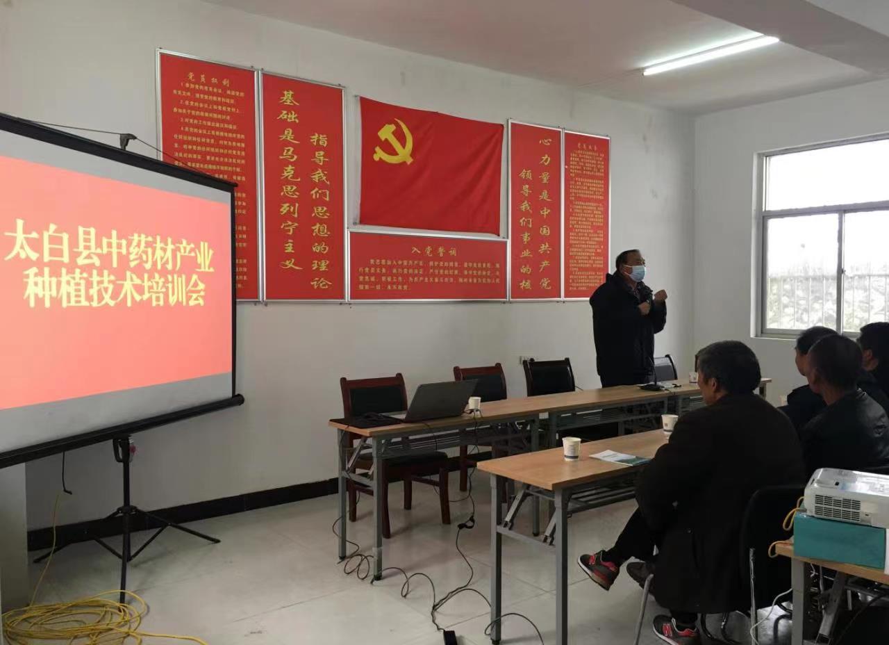 技术下乡促发展 宝鸡市太白县举办中药材产业种植技术培训会