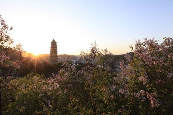 <b>陕西延安-山西临汾跨省旅游公交“周末免票”</b>