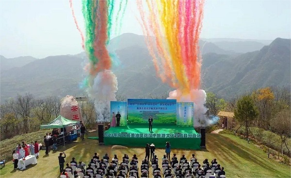 <b>汉中市勉县“云顶茶乡·漆彩山村”茶文化旅游节正式开幕</b>
