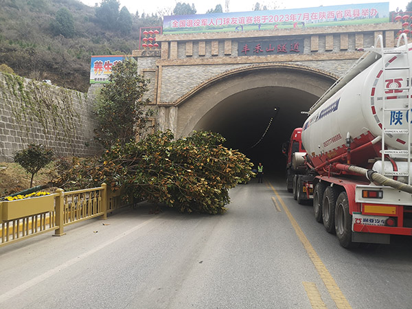 大风刮倒树 挡路存隐患 凤县交警联合多部门及时救援