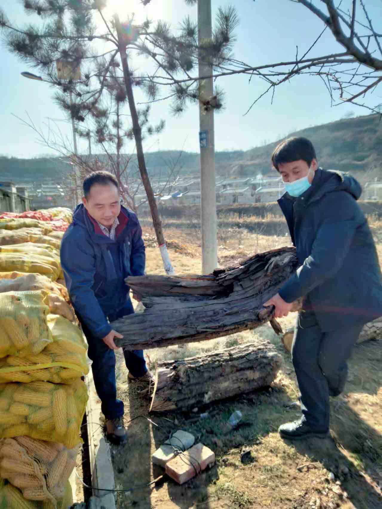 宝鸡麟游：驻村第一书记用心用情建设美丽洪泉