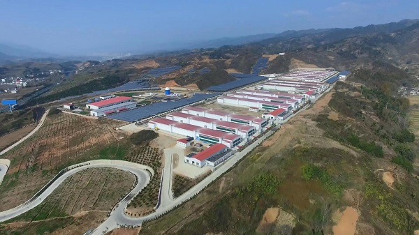 <b>民营经济如何走上高质量发展快车道</b>