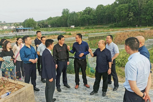 <b>镇坪县市场监管局赴汉中洋县考察学习省级有机产品认证示范区创建工作</b>