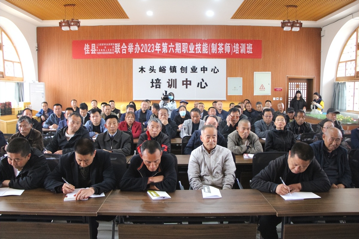 <b>培育红枣产业发展新业态 助力乡村振兴——佳县枣芽茶制作技能培训班开班</b>