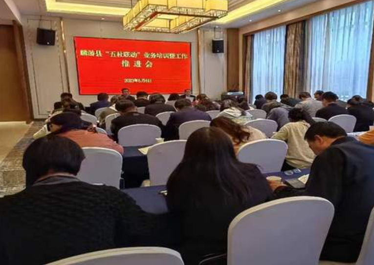 <b>四项举措促提升！麟游县“五社联动”各项工作提速增效</b>