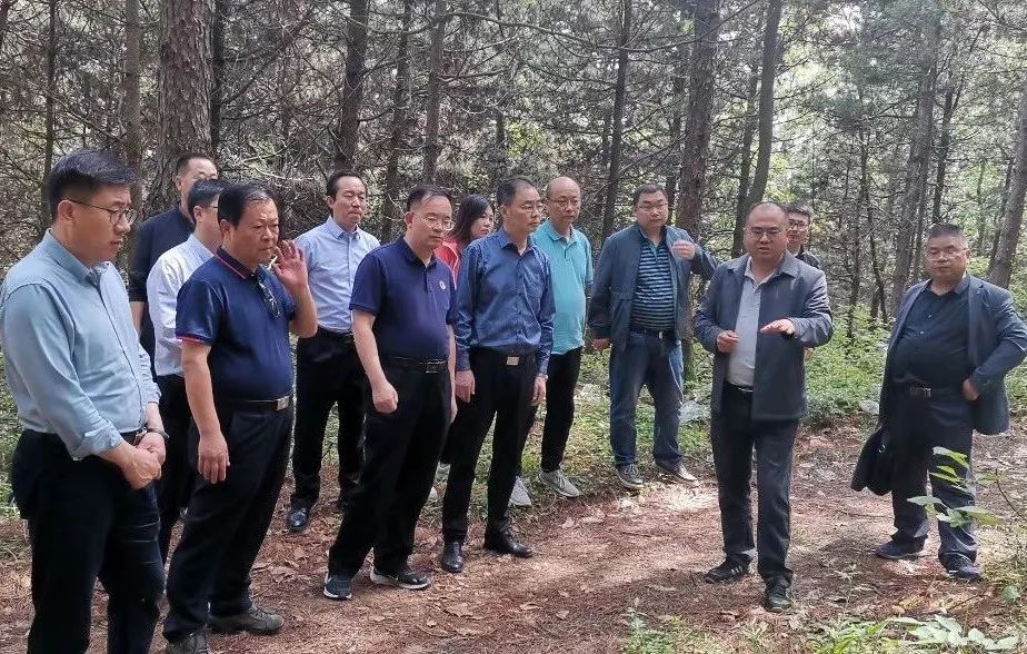 <b>陕西省林业局考察汉台区、城固县“双储林场”国家储备林项目</b>