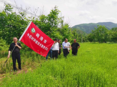 <b>商洛科技特派员产业服务团赴一线  为药材栽培“把脉开方”</b>