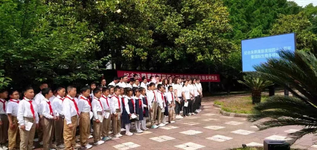 <b>纪念朱鹮重新发现４２周年 汉中朱鹮国家级自然保护区举行主题活动</b>
