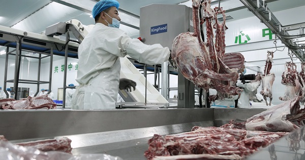 <b>榆阳区：肉羊产业打造生态畜牧业新路径</b>
