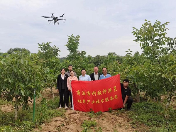 <b>商洛派用无人机集中飞防核桃病虫害</b>