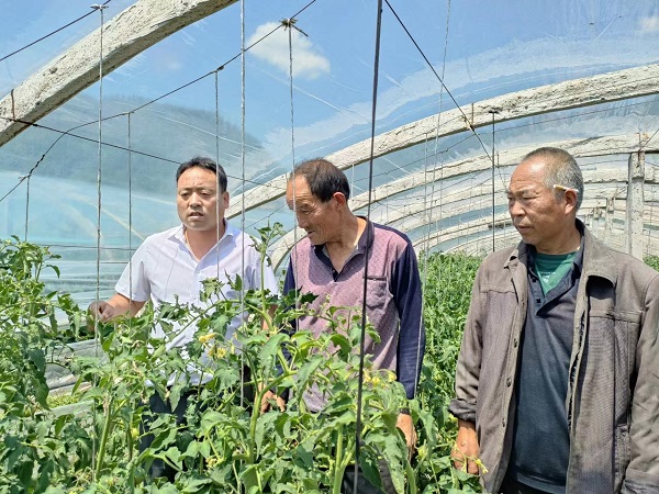 <b>商洛市洛南县张鹏：无私奉献 惠民强村</b>