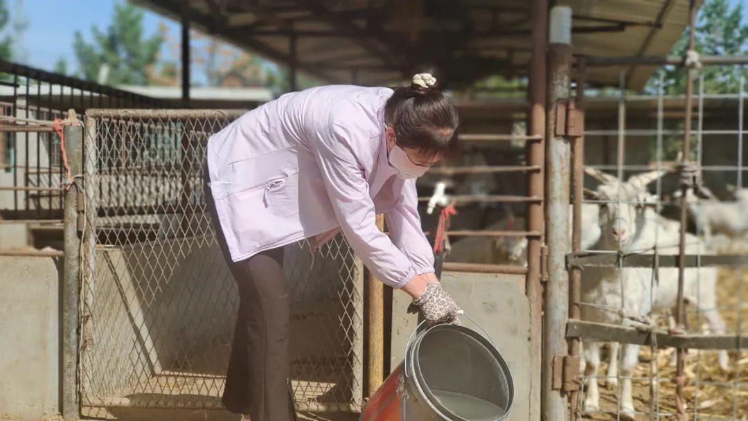<b>横山羊肉：国宴一品背后的民生民计</b>