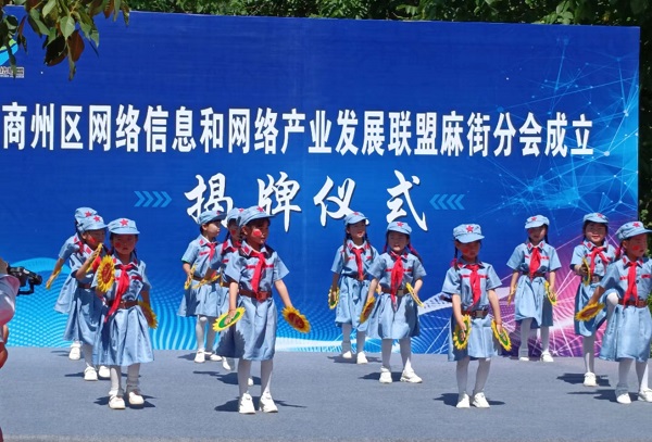 <b>商洛市商州网络联盟麻街分会成立 </b>