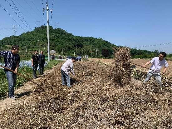 志愿服务下农田 助农丰收拓销路 渭滨区人大机关开展服务活动