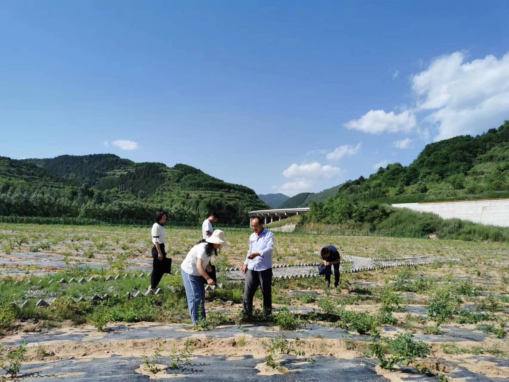 凤县构建“三督三盯三促”监督机制护航乡村振兴