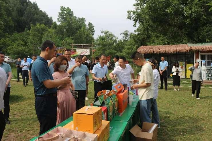 凝聚人才合力 赋能乡村振兴！宝鸡市干部人才考察团进乡村