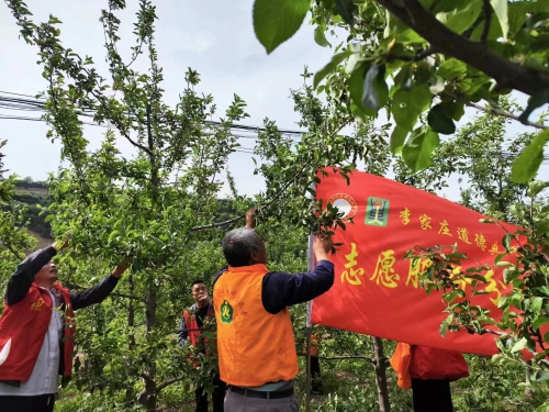 凤县唐藏镇：“菜单式服务”助推基层治理提质增效