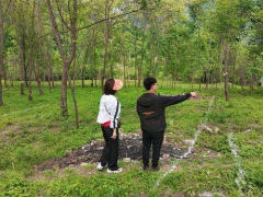 宝鸡市内首创！凤县在林麝半散养科研项目占用林地推行“傻瓜式”审批