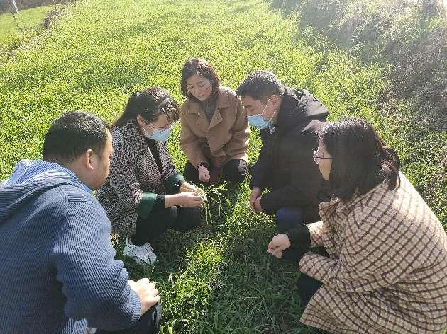 喜报！全省表彰定点帮扶工作先进集体和个人决定发布 渭滨区榜上有名